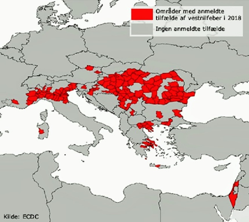 Høj Forekomst Af Vestnilfeber I Central- Og Sydeuropa I Sommeren 2018