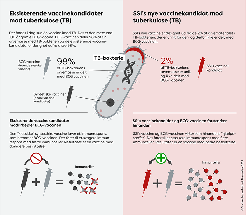 Grafik der forklarer princippet i SSI's nye tb-vaccinekandidat