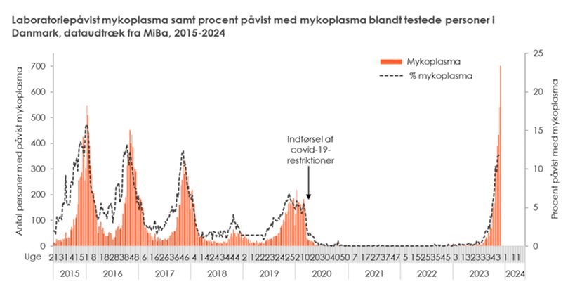 Figur1_Laboratoriepvist mykoplasma_Uge49-2023