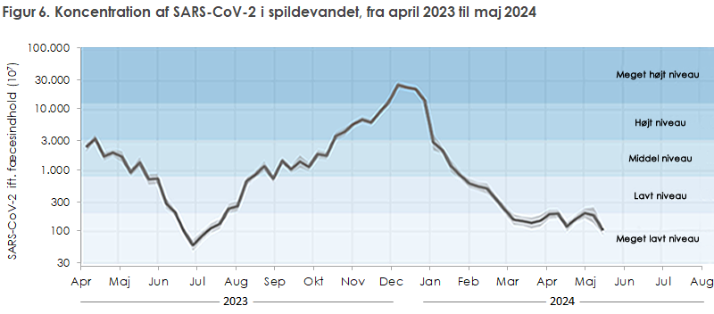 Figur 6. Koncentration af SARS-CoV-2 i spildevandet, fra april 2023 til maj 2024