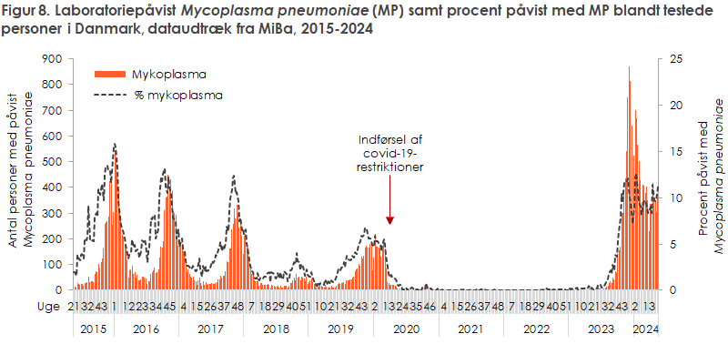 Figur 8. Laboratoriepåvist Mycoplasma pneumoniae (MP) samt procent påvist med MP blandt testede personer i Danmark, dataudtræk fra MiBa, 2015-2024