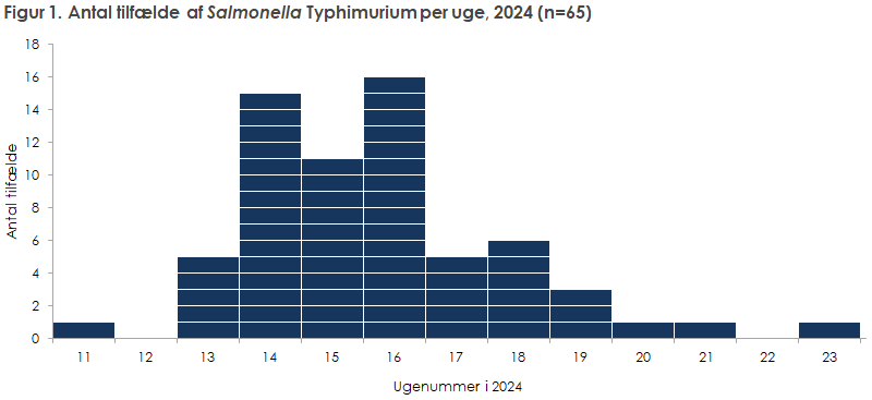 Figur 1. Antal tilfælde af Salmonella Typhimurium per uge, 2024 (n=65)