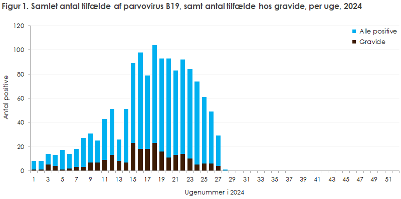 Figur 1. Samlet antal tilfælde af parvovirus B19, samt antal tilfælde hos gravide, per uge, 2024