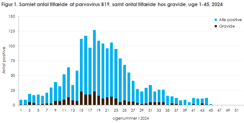 Figur 1. Samlet antal tilfælde af parvovirus B19, samt antal tilfælde hos gravide, per uge, 2024