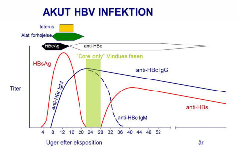 Hepatitis B