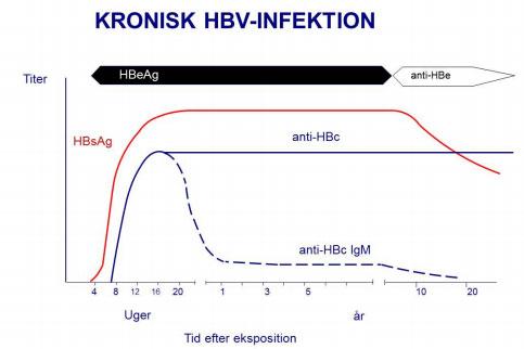 Hepatitis B